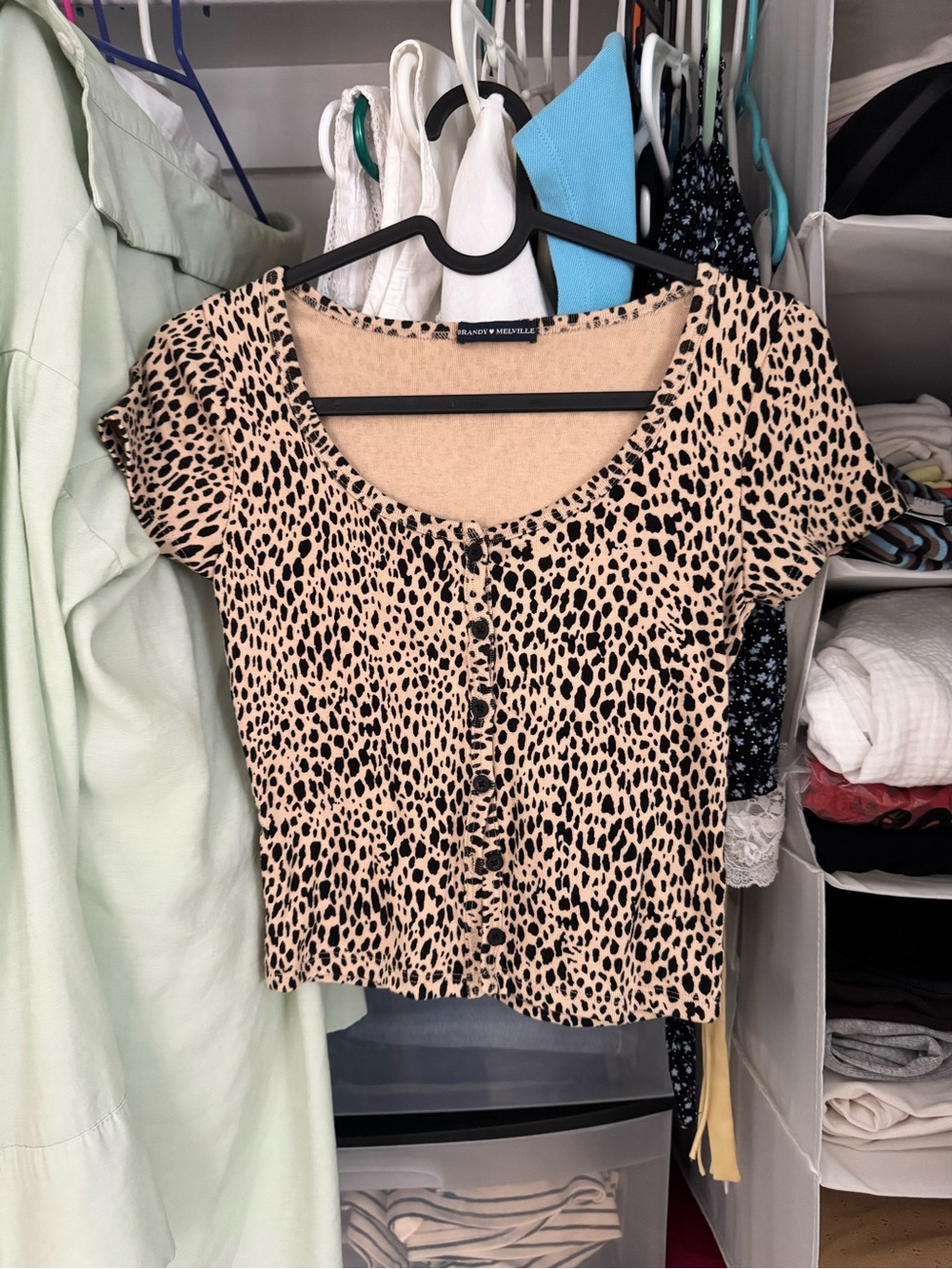 Brandy Melville- Zelly Leopard-Print Short Sleeve Crop Top